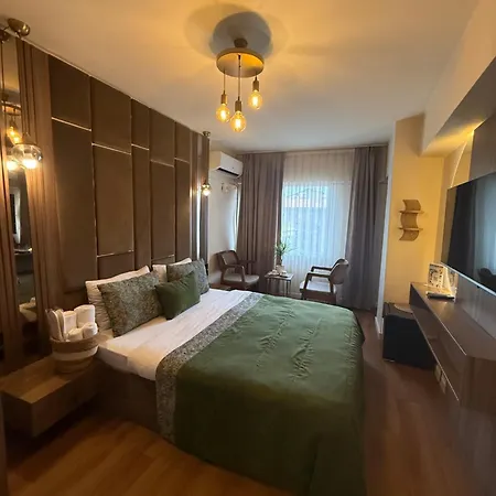 Ali Khan 호텔 3*