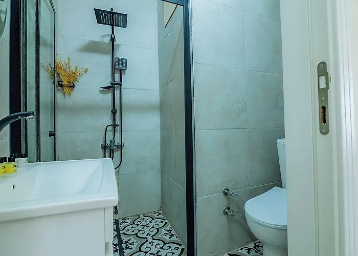 Ali Khan 3* Istanbul